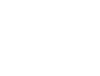 logo brest marée petit